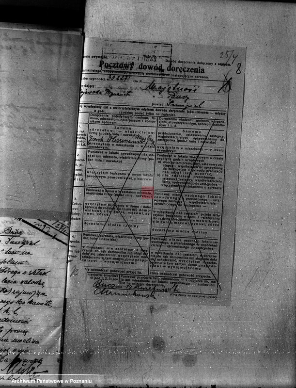 Obraz 12 z jednostki "Nadzór nad gospodarką w lasach majętności Bucz powiat kościański"