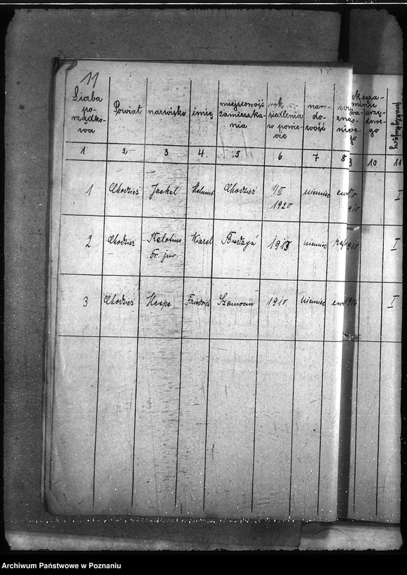 Obraz 16 z jednostki "Lekarze weterynaryjni spis"