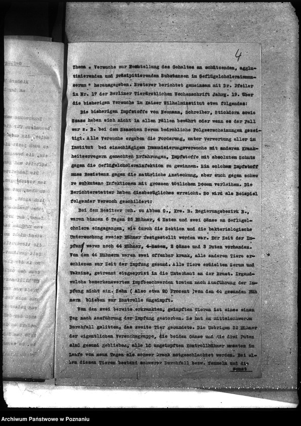 Obraz 8 z jednostki "Instytut Higieny Zwierząt w Bydgoszczy"