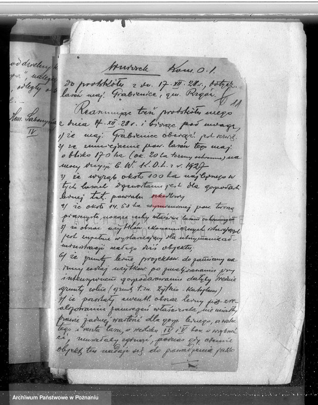 Obraz 15 z jednostki "Majątek Grabienice powiat koniński /nadzór nad gospodarką leśną/"