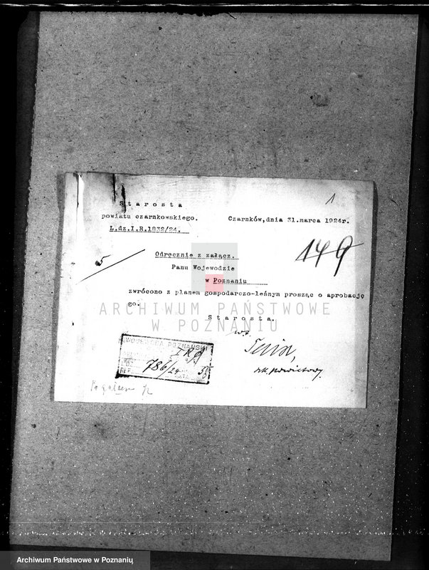 Obraz 5 z jednostki "/Nadzór nad lasami majętności Maciejewo w powiecie czarnkowskim/"