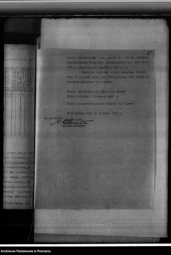 Obraz 10 z jednostki "Gmina Brzeźno powiat koniński /nadzór nad gospodarką leśną/"