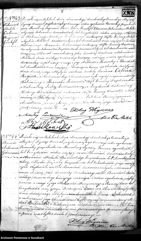 Obraz 20 z jednostki "D.L. P. Metel 1858"