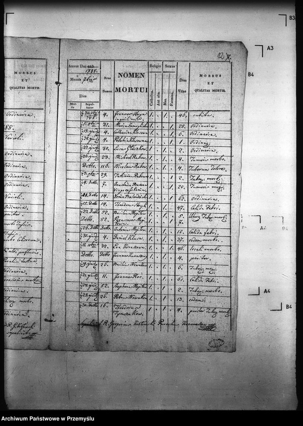 Obraz 19 z jednostki "[Kopie ksiąg metrykalnych parafii Kramarzówka (dekanat Pruchnik)]"