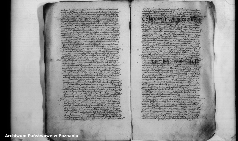 Obraz 20 z jednostki "Inscriptiones [inducta]"