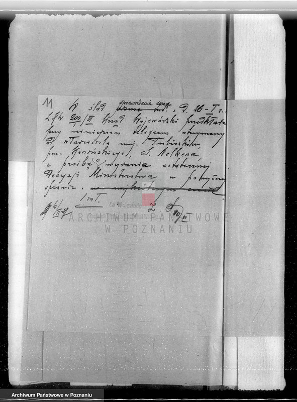 Obraz 14 z jednostki "Las miasta Tuliszkowo powiat koniński"