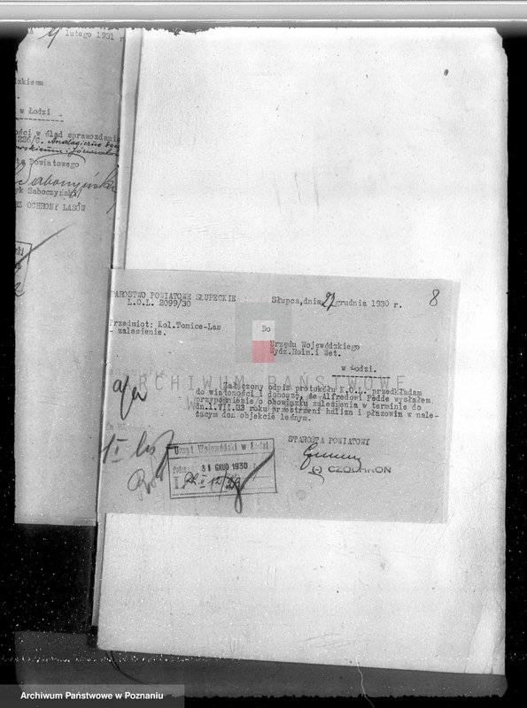 Obraz 12 z jednostki "Gmina Szyminowice powiat koniński /nadzór nad gospodarką leśną/"