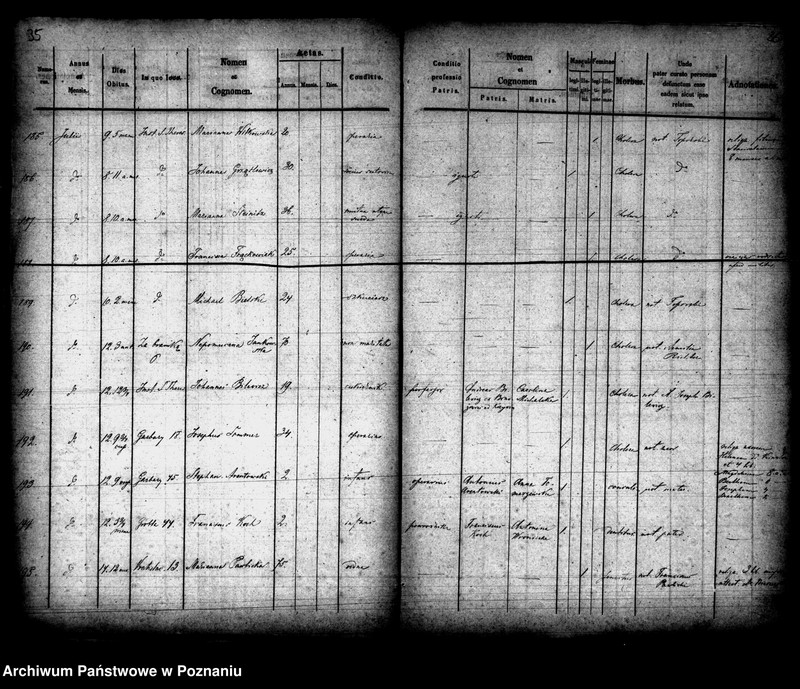 Obraz 19 z jednostki "Księga zgonów"