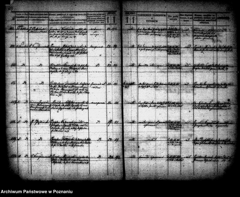Obraz 16 z jednostki "Księga małżeństw"
