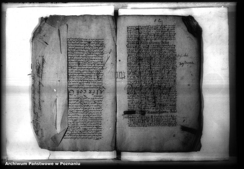 Obraz 5 z jednostki "Lib. civium, inscriptiones, relationes, decreta [inducta;protocollon]"