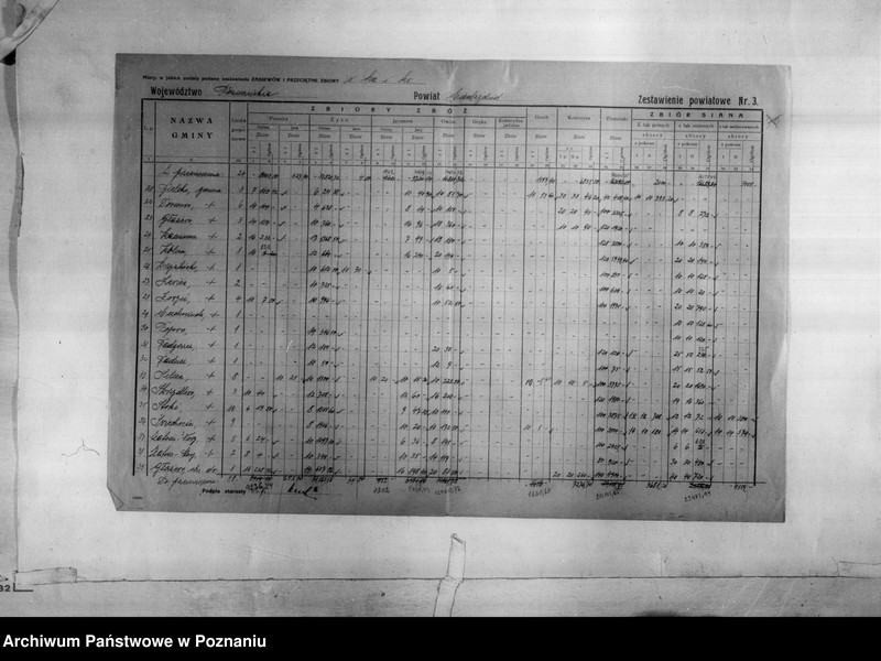 Obraz 8 z jednostki "/Statystyka produkcji rolnej - zestawienie powiatowe - Międzychód/"