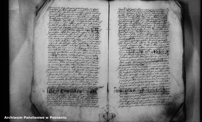 Obraz 8 z jednostki "Inscriptiones [inducta]"