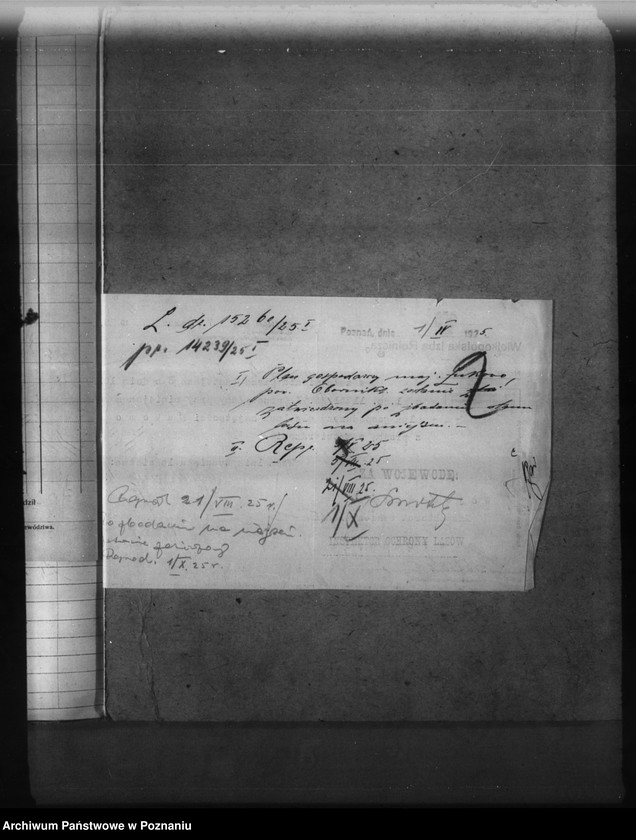 Obraz 6 z jednostki "Majętność leśna Łukowo powiat obornicki"