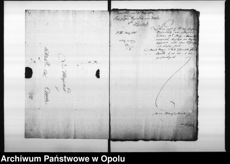 Obraz 7 z jednostki "Acta des Magistrats zu Oppeln von Einsendung der monathl[ichen] Nachweisnung der Tuch Fabrication Vol. I de anno 1812"