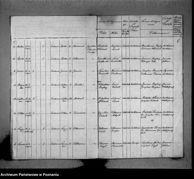 image.from.unit.number "Duplikat baptisatorum, copulatorum, mortuorum"