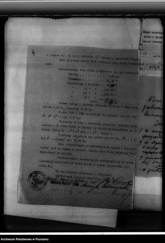 Obraz 8 z jednostki "Lasy majątku Brzeźno powiat koniński"