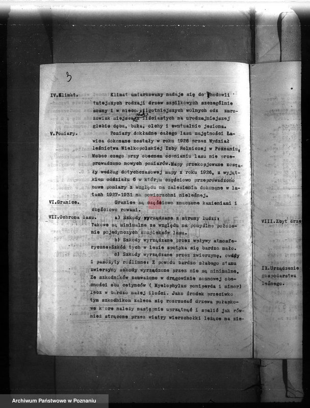 Obraz 6 z jednostki "Majętność leśna Ławica w powiecie międzychodzkim /plan urządzenia gospodarstwa leśnego/"