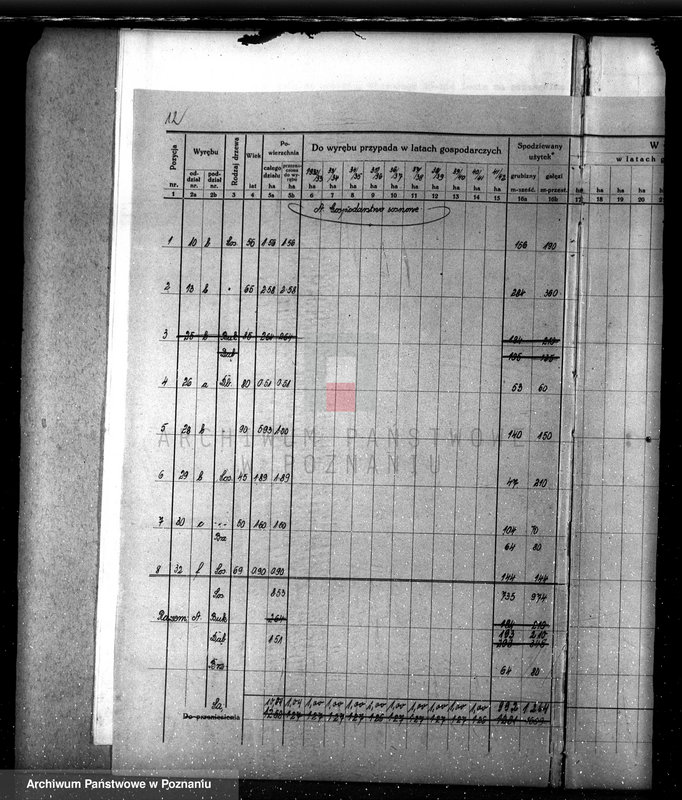 Obraz 16 z jednostki "Nadzór nad lasami/ majątku Lubasz powiatu czarnkowskiego"