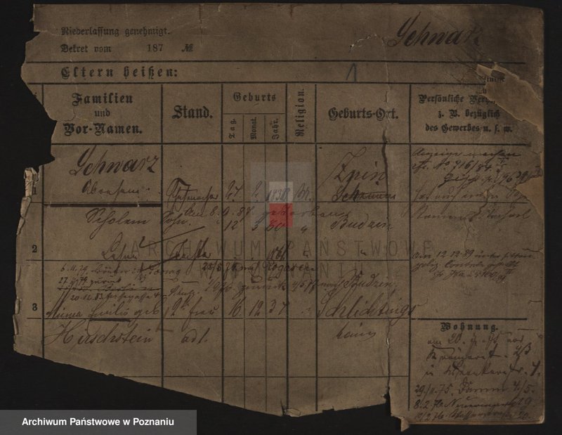 Obraz 5 z jednostki "Szwarc (żonaci i wdowy)"