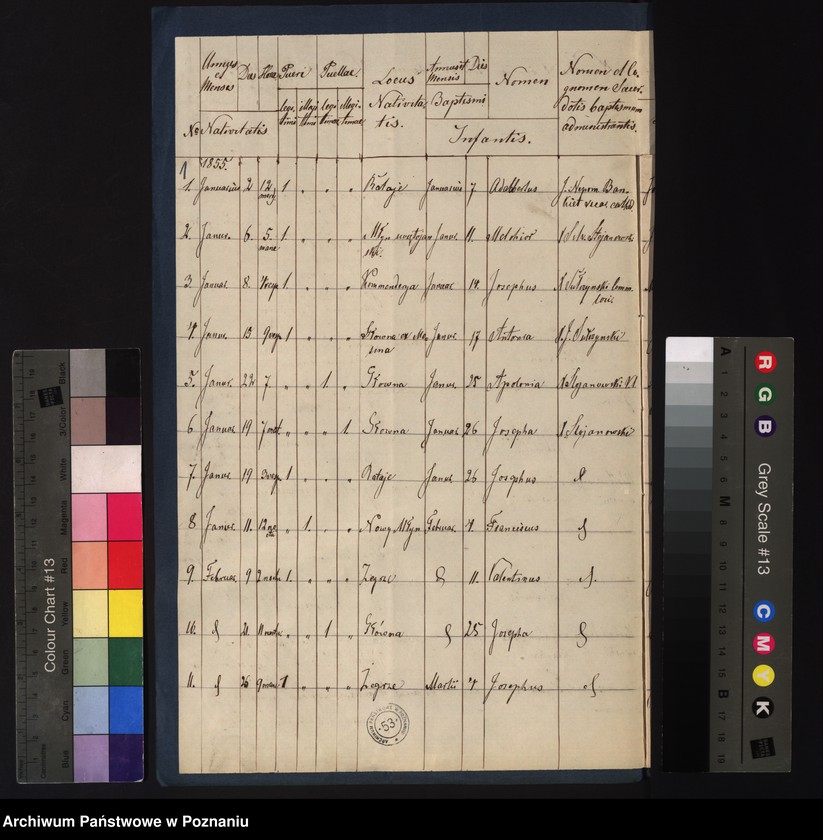 Obraz 3 z jednostki "Księga urodzeń"