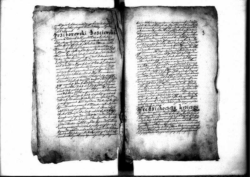 Obraz 5 z jednostki "Decreta iudicii [inducta]"