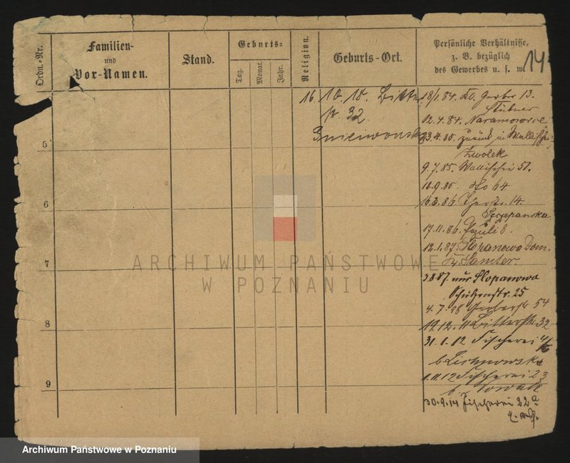 Obraz 15 z jednostki "Małecki - Malgut"