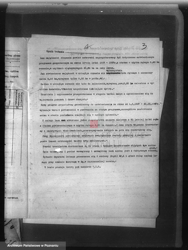 Obraz 7 z jednostki "Las majętności Bieganin powiat obornicki"