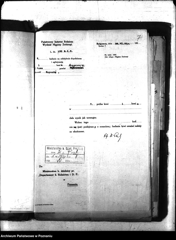 Obraz 10 z jednostki "Nosacizna - Wągrowiec"