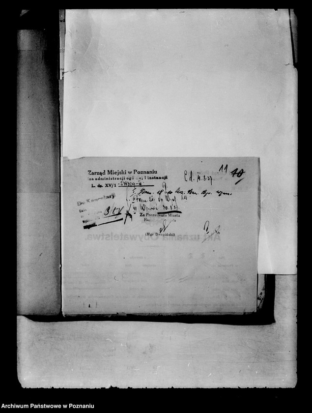 Obraz 15 z jednostki "Karol Rossa /sprawa obywatelstwa/"