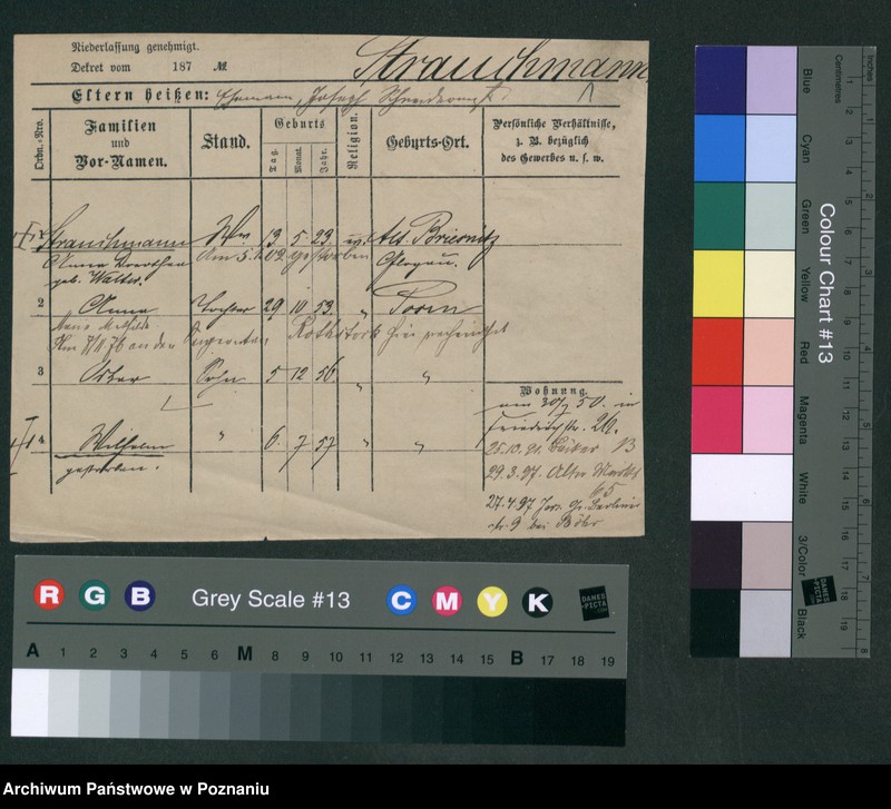Obraz 7 z jednostki "Strauchman - Striwy (Strü...)"