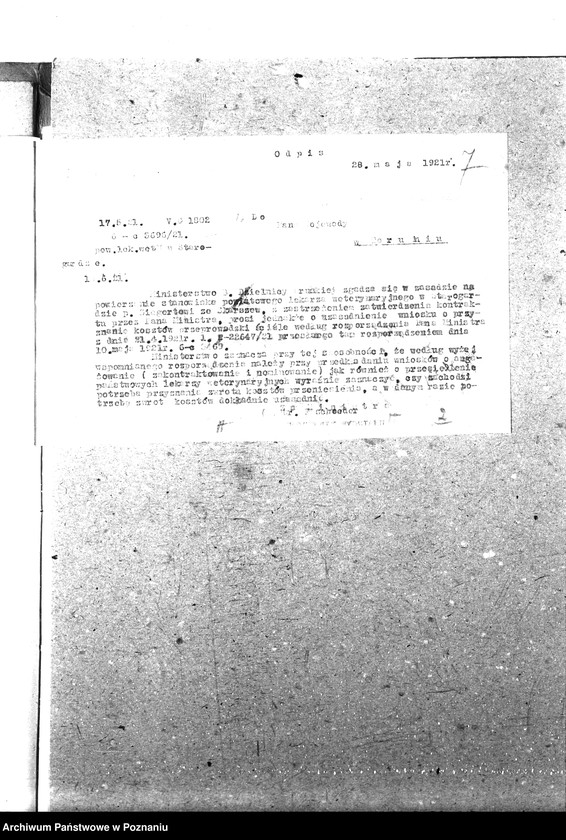 Obraz 11 z jednostki "Pow. lekarz Weterynaryjny Starogard"