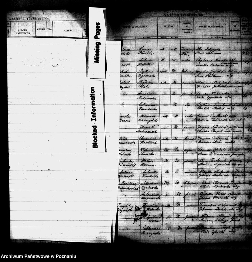 Obraz 11 z jednostki "Księga urodzin"