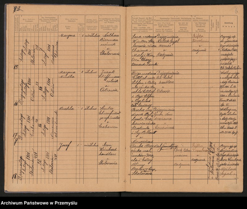 Obraz 9 z jednostki "Duplikat metryki urodzin za 1901 rok Urzędu metrykalnego izraelickiego w Radymnie. Tom VIII"