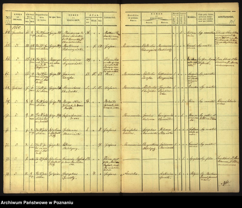 Obraz 10 z jednostki "Księga zgonów"