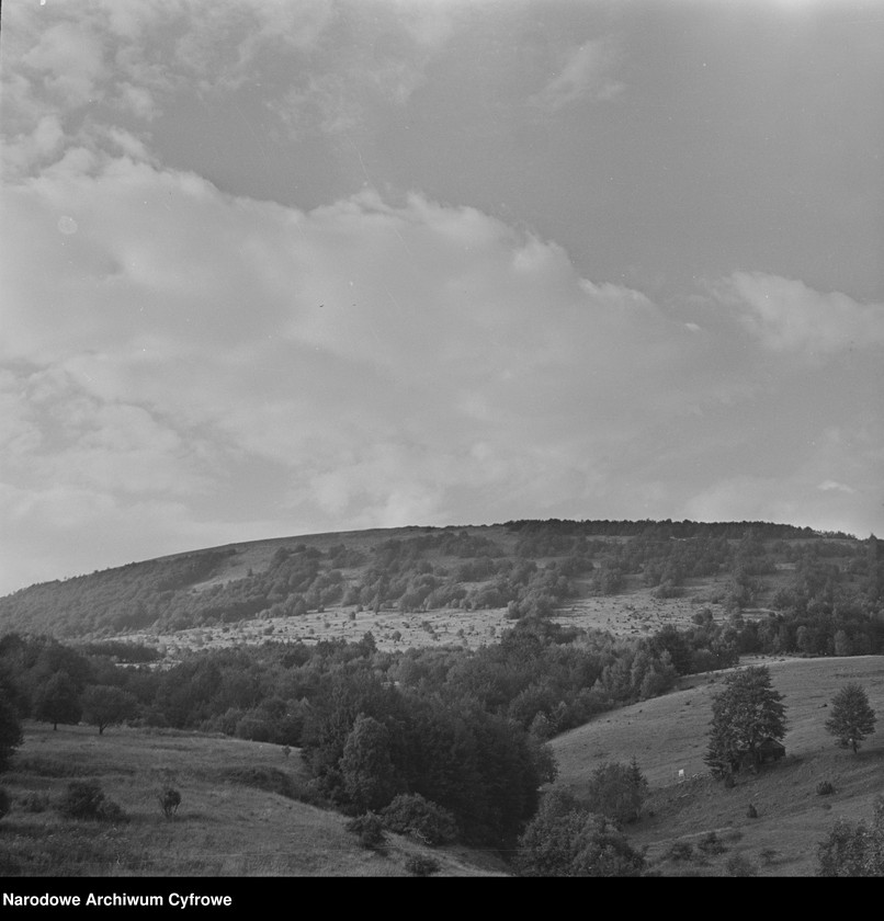 Obraz 3 z kolekcji "Bieszczady111"