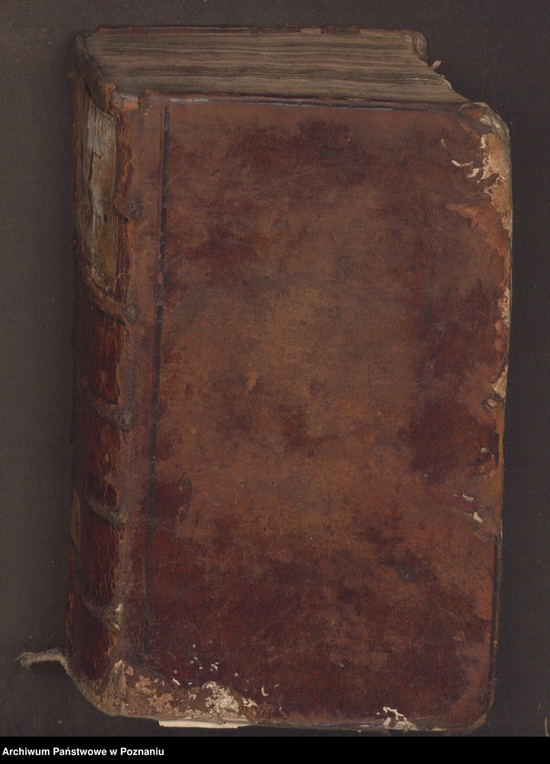 Obraz 3 z jednostki "Liber actorum officii consularis civitatis Posnaniae.  Protocollum anni 1738, tum 1739 et 1740."