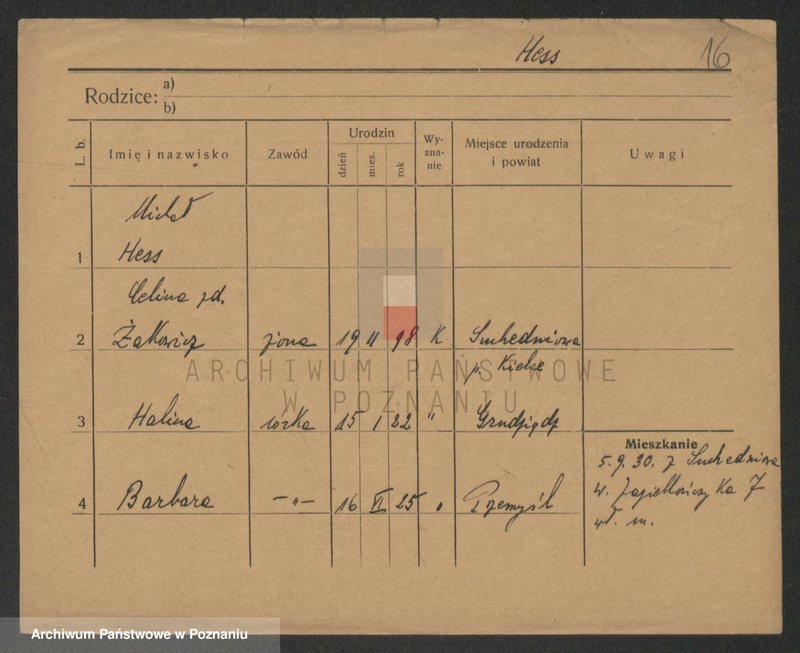 Obraz 16 z jednostki "Hes - Hezel"