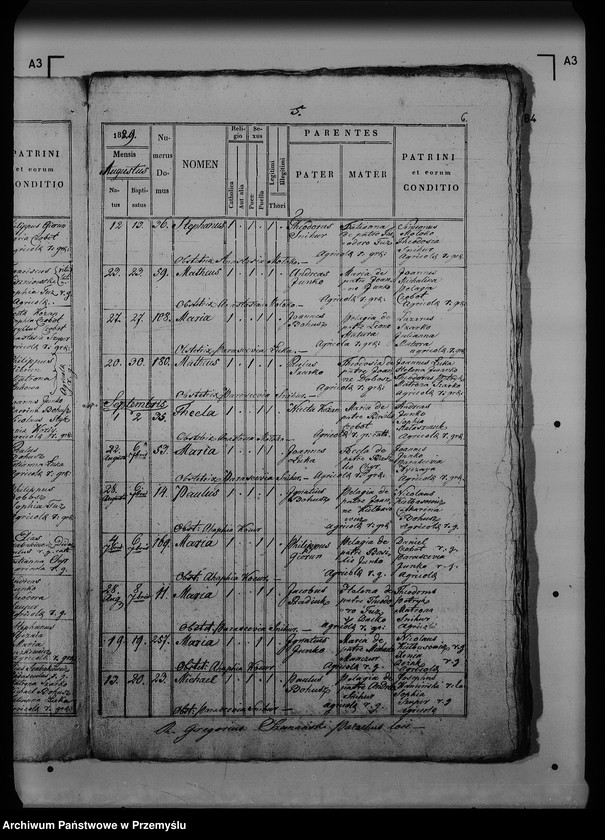Obraz 10 z jednostki "[Kopie ksiąg metrykalnych parafii Dziewięcierz (dekanat Rawa Ruska)]"