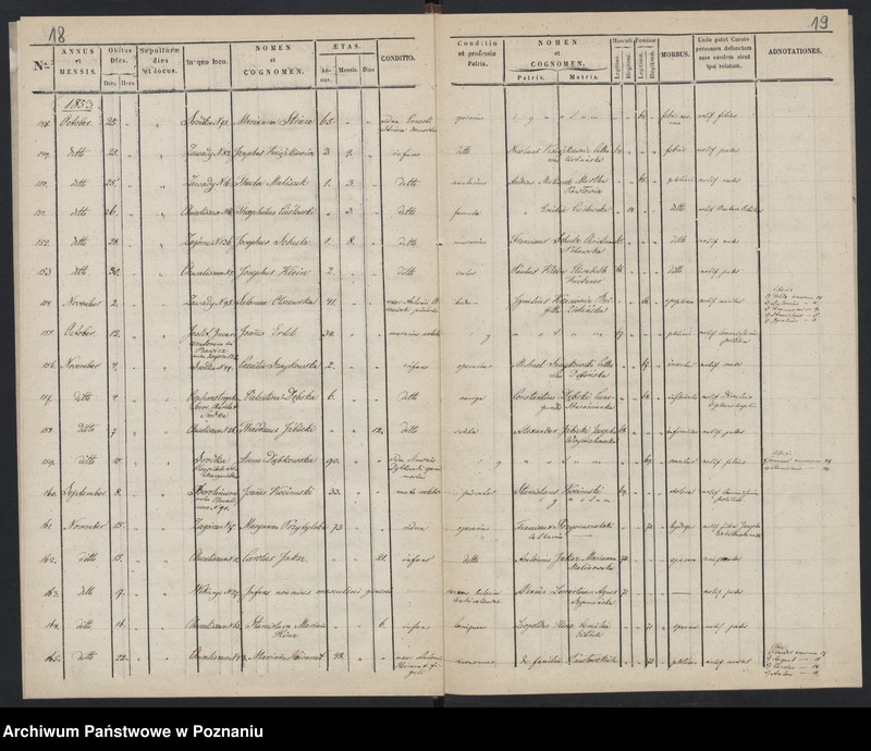Obraz 12 z jednostki "Księga zgonów"