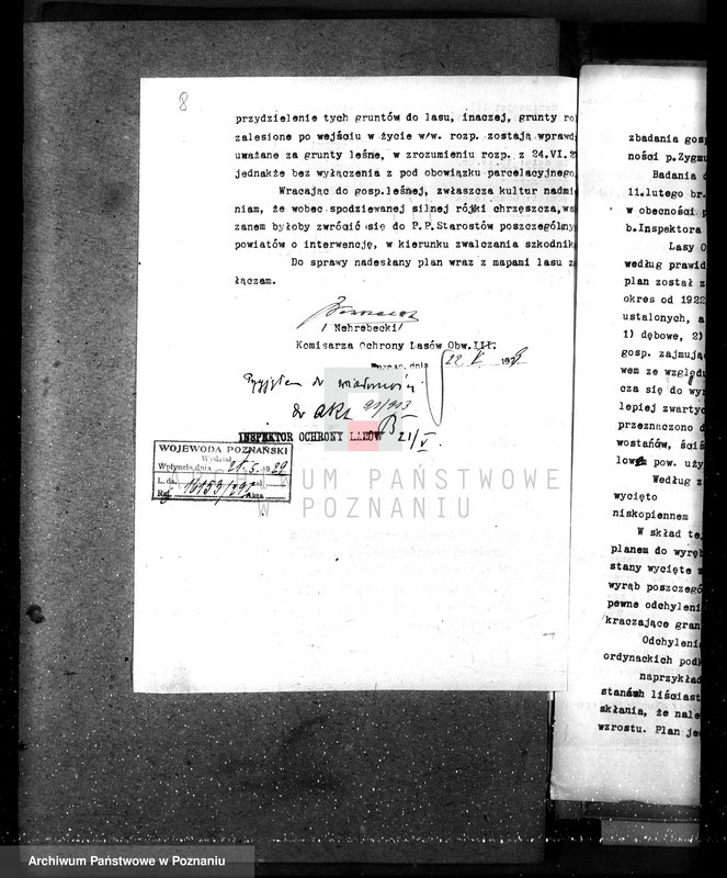 Obraz 12 z jednostki "Nadzór nad gospodarką w lasach majątku Czerniejewo powiecie gnieźnieńskim"