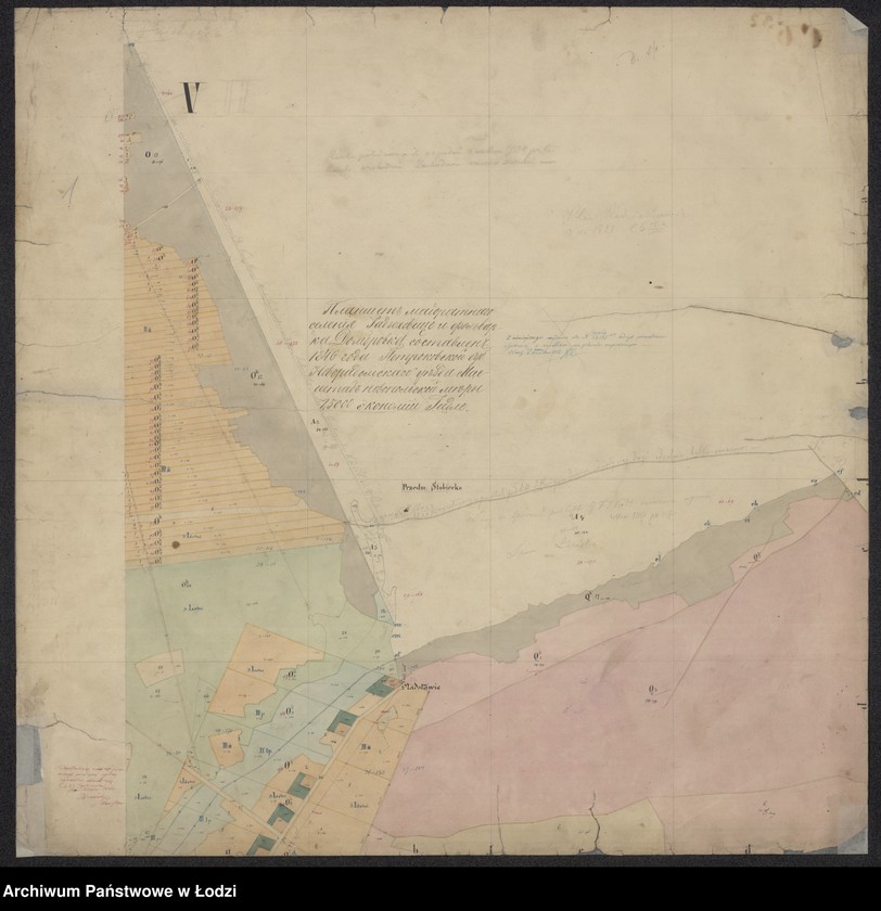 Obraz 5 z jednostki "Pieroworys Urządzenia Majoratu Radziechowice składający się z folwarków Radziechowice i Dąbrówka, Kolonii Radziechowice Brodowe i Dąbrowka, osady Czerkowizna, młyna Klekot oraz lasów przyległych ..."