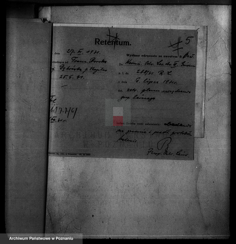 Obraz 9 z jednostki "Majętność /leśna/ Szczeglin Dąbrówka w powiecie mogileńskim"