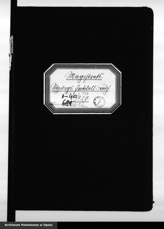 Obraz 4 z jednostki "Magistrats - Sitzungs - Protokoll-Buch 1920"