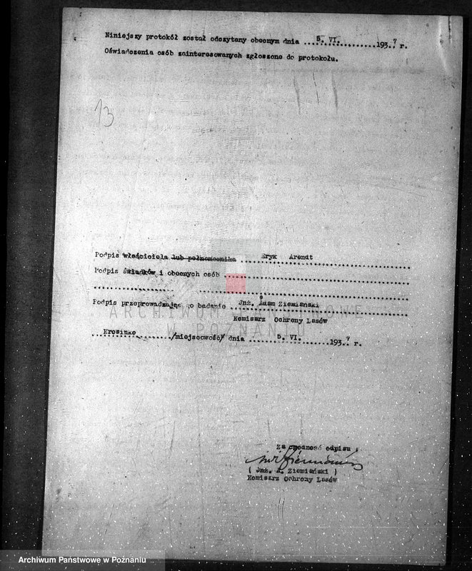 Obraz 17 z jednostki "/Zalesienie gruntów ornych/"