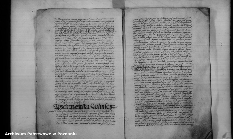 Obraz 11 z jednostki "Inscriptiones [inducta]"