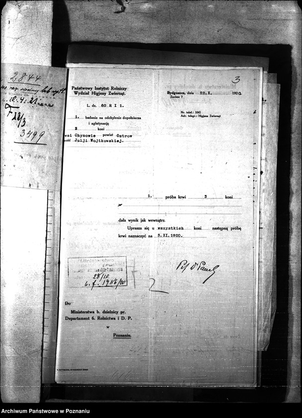 Obraz 7 z jednostki "Nosacizna - Ostrów"