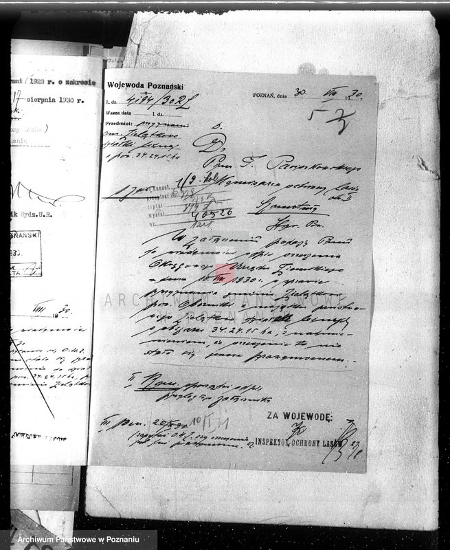 image.from.unit.number "Lasy gromady Zielątkowo w powiecie obornickim"