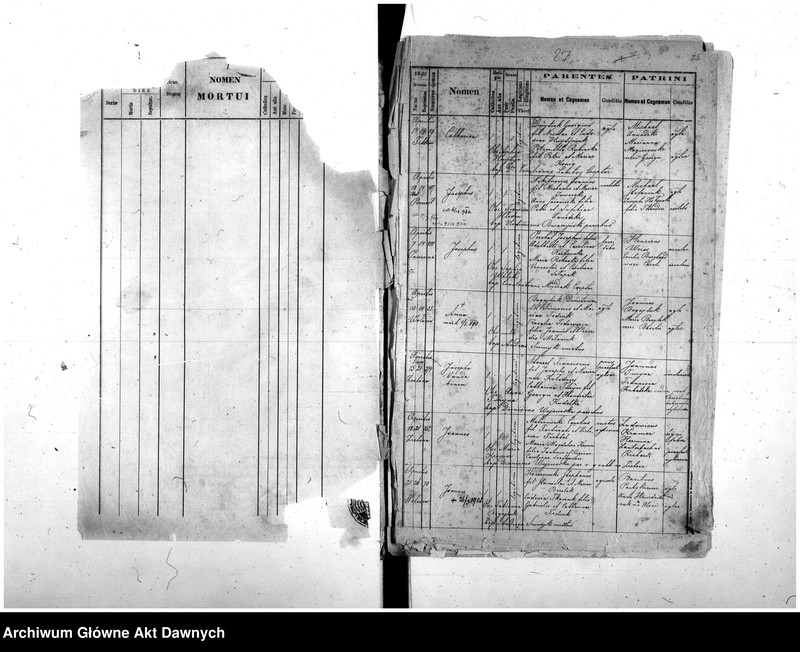 image.from.unit.number "Parafia: różne. Dekanat: różne. Fragmenty akt różnych parafii archidiecezji lwowskiej: 1. Gródek Jagielloński (dek. Gródek) - fragment (prawdopodobnie ekstrakt) księgi urodzeń z lat 1862-1863, 9 s.; 2. Kobylnica/Fehlbach (dek. Lubaczów) - fragment (prawdopodobnie ekstrakt) księgi urodzeń z lat 1901-1904, 1906-1908, 26 s.; 3. Martynów Nowy (dek. Dolina) - fragment księgi zgonów 1871, 1873, 5 s.; 4. Nadwórna (dek. Stanisławów) - fragment księgi urodzeń 1890, 9 s.; 5. Podhajce (dek. Podhajce) - fragment księgi zgonów 1899, 8 s.; 6. Podhorce (dek. Brody) - fragment księgi ślubów 1899-1900, 7 s.; 7. Stanisławów (dek. Stanisławów) - fragment (ekstrakt) księgi zgonów 1876 (pośw. 1877), s. 20; 8. Św. Stanisław (dek. Stanisławów) - fragment (ekstrakt) księgi urodzeń 1929, 2 s.; 9. Tyśmienica (dek. Stanisławów) - fragment księgi zgonów 1876, 2 s.; 10. Załoźce (dek. Brody) - fragment księgi ślubów, lata osiemdziesiąte XIX w., szczątek, 2 s.; 11. Śniatyn (dek. Horodenka) - fragment księgi urodzeń 1882, szczątek 2 s.; 12. Zawałów (dek. Skałat) - fragment (ekstrakt) księgi zgonów 1914, 3 s.; 13. Złotniki (dek. Podhajce) - fragment księgi zgonów 1891, 1 s.."