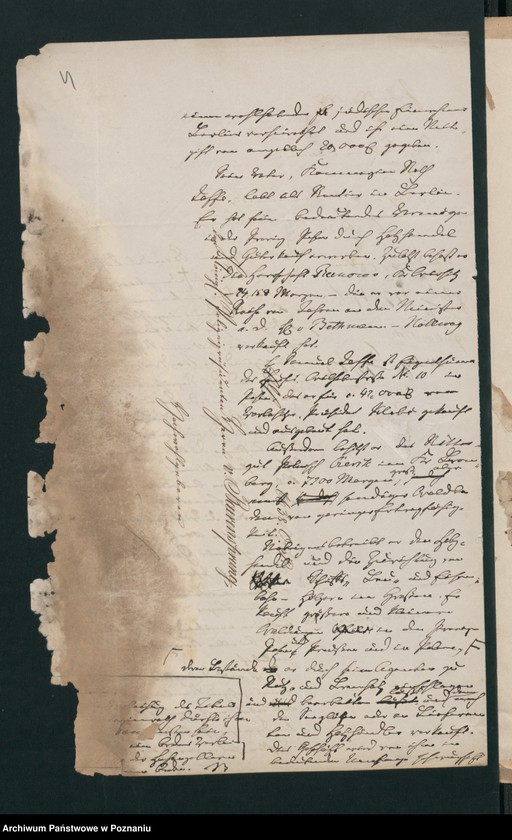 Obraz 8 z jednostki "A. betr. Samuel Jaffe, Kaufmann, Kommerzienrat"