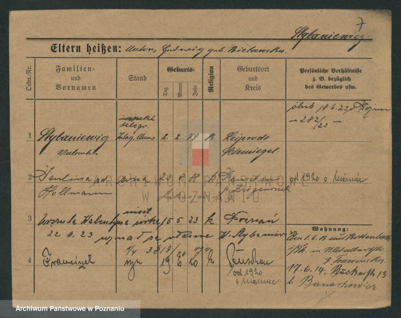 Obraz 16 z jednostki "Stybaniewicz - Suchopartka"